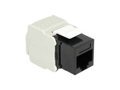 DeLOCK Modular RJ45 - CAT6 - UTP Keystone Sort
